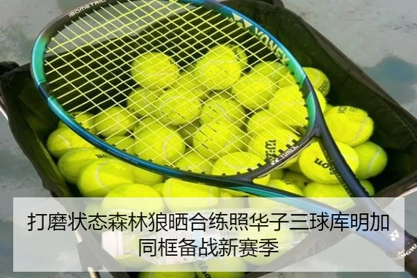 打磨状态森林狼晒合练照华子三球库明加同框备战新赛季